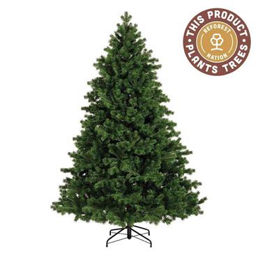 Hollimont Fir Premium Christmas Tree 3m (10ft)