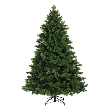 Hollimont Fir Premium Christmas Tree 3m (10ft)