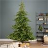 Grandis Fir Prelit Christmas Tree 2.4m (8ft) 5200 Micro Lights
