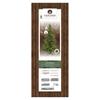 Grandis Fir Prelit Christmas Tree 2.4m (8ft) 5200 Micro Lights
