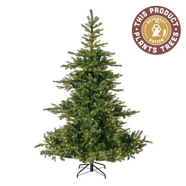 Grandis Fir Prelit Christmas Tree 2.4m (8ft) 5200 Micro Lights