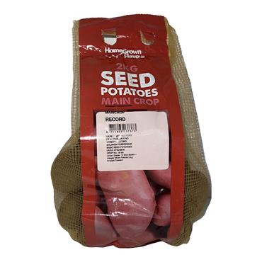 Kapiteyn 2kg Record Seed Potato