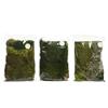 Display Moss Assorted
