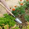 Kent & Stowe Stainless Steel Border Hand Trowel