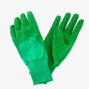 Kent & Stowe Ultimate All Round Gloves Green Small