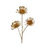 Kaemingk Spray Thistle On Stem Gold 24cmx22cmx75cm