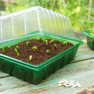 Growsure Half Seed Tray Lid