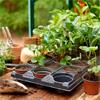 Westland Grosure Growing Tray 18 Pot Round