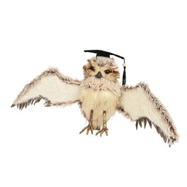 Kaemingk Owl Flying Glasses And Hat Feathers Grey 12cmx28cmx19cm
