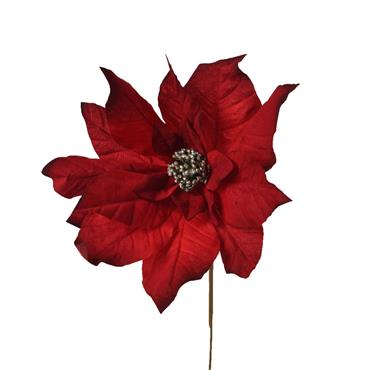 Poinsettia Velvet Maroon