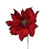 Poinsettia Velvet Maroon