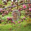 Smart Garden Ultra Squirrel Proof Peanut Feeder