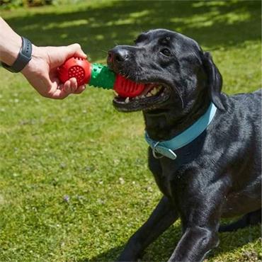 Zoon Dental Gumbell Dog Toy