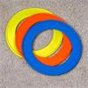 Zoon Fling A Ring 22cm Assorted