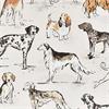 Country Dogs Cork Placemat 4 Pack