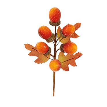 Premier Acorn Picks 20cm Assorted