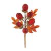 Premier Acorn Picks 20cm Assorted