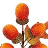 Premier Acorn Picks 20cm Assorted