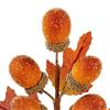Premier Acorn Picks 20cm Assorted