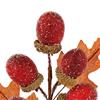 Premier Acorn Picks 20cm Assorted