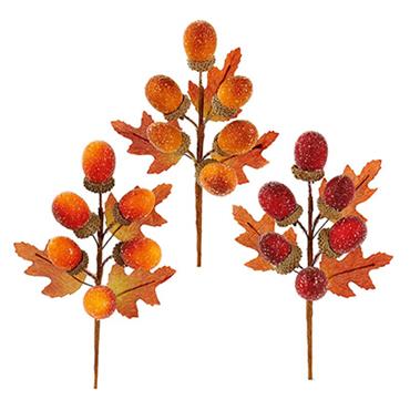 Premier Acorn Picks 20cm Assorted