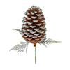 Premier Pine Cone Picks 19cm Assorted