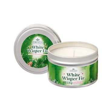 Premier White Winter Fir Scentsicles Candle 170g