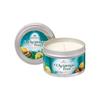 Premier O Christmas Tree Scentsicles Candle 170g