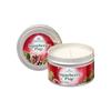 Premier Snowberry Pine Scentsicles Candle 170g