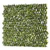 Classic Variegated Beech Wall Trellis 1x2m