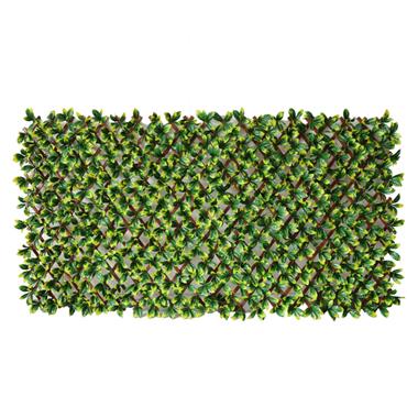 Classic Laurel Leaf Trellis 1x2m