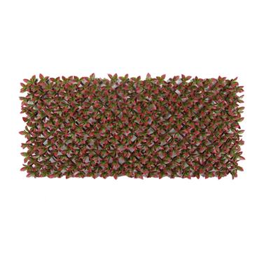 Classic Red Variegated Beech Trellis 1x2m