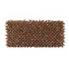 Classic Red Variegated Beech Trellis 1x2m