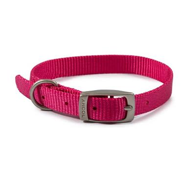 Viva Nylon Collar Raspberry 12"