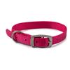 Viva Nylon Collar Raspberry 12"