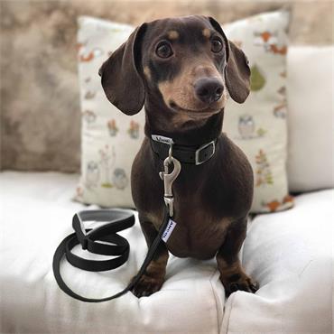 Viva Nylon Collar Black 16"