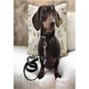 Viva Nylon Collar Black 20"