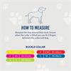 Viva Nylon Collar Raspberry 20"