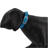 Viva Nylon Collar Blue 20"