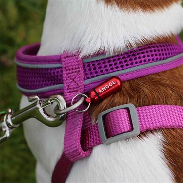 Aluminium Dog Id Tube