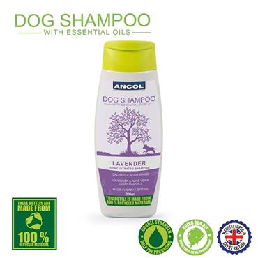 Lavender & Aloe Vera Shampoo 200Ml