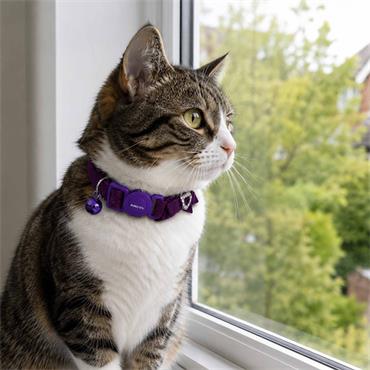 Velvet Heart Safety Cat Collar Purple