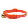 Hi-Vis Safety Kitten Collar Orange