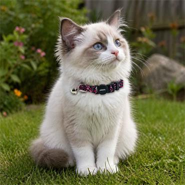 Leopard Print Safety Cat Collar