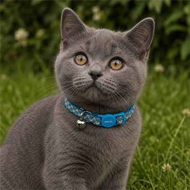 Zigzag Print Safety Cat Collar