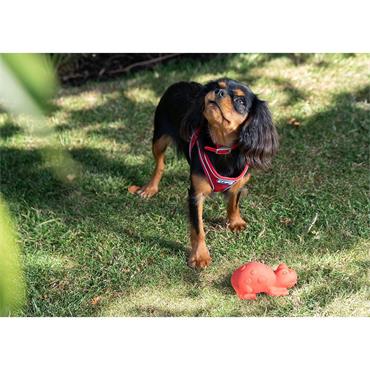 Viva Padded Red Nylon Collar S7 24"