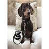 Viva Air Cushioned Dog Lead Black 25mmx1.8m