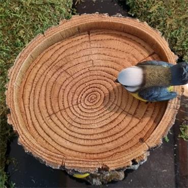 Vivid Arts Bird Feeder Tree Trunk Blue Tit Ornament