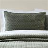 Attica Velvet Green Pillowsham Pair