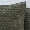 Attica Velvet Green Pillowsham Pair